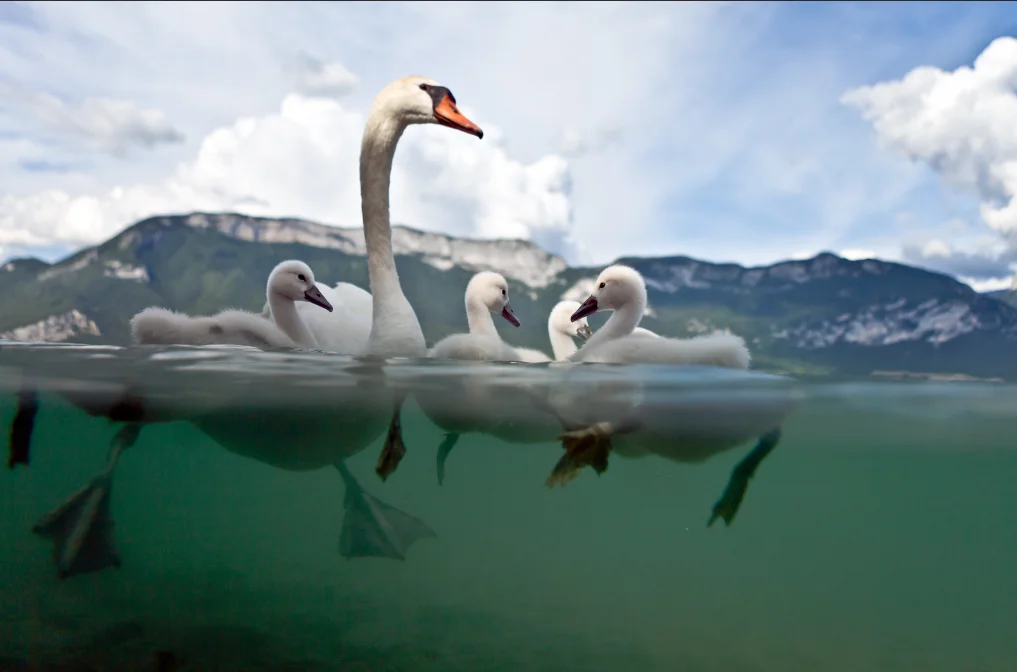 Personal Development